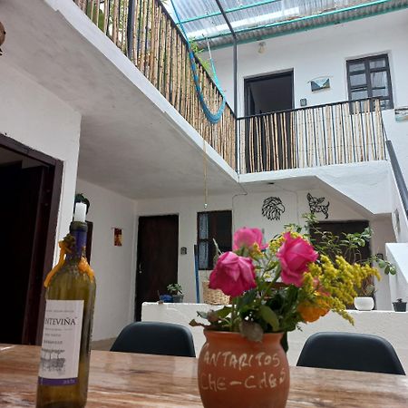 San Cristóbal de Las Casas El Rinconcito De San Cris酒店 外观 照片