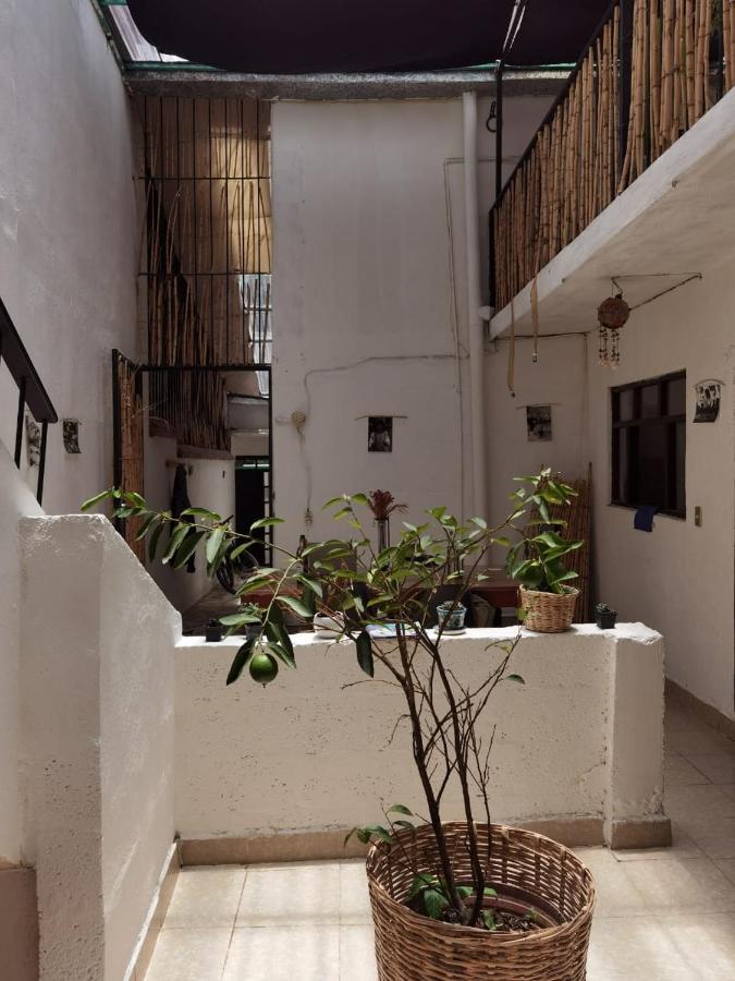 San Cristóbal de Las Casas El Rinconcito De San Cris酒店 外观 照片